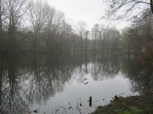 Quälingsteich - "Gladbeck putzt" 2015