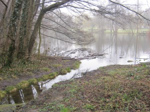 Quälingsteich - "Gladbeck putzt" 2015