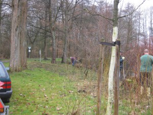 Quälingsteich - "Gladbeck putzt" 2015