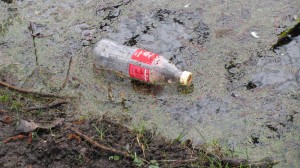 Teichreinigung "Quälingsteich" - Gladbeck putzt "2015"