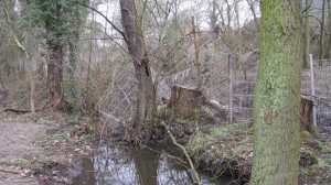 Teichreinigung "Quälingsteich" - Gladbeck putzt "2015"