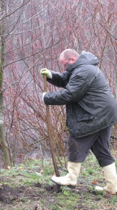 Teichreinigung "Quälingsteich" - Gladbeck putzt "2015"