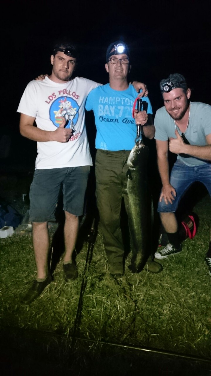 8kg und 95cm Wels aus der Lippe