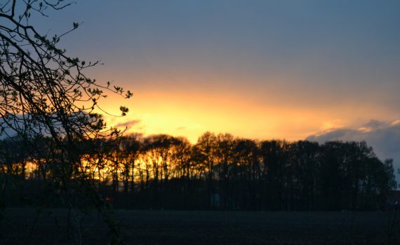 Wetter spielte auch mit