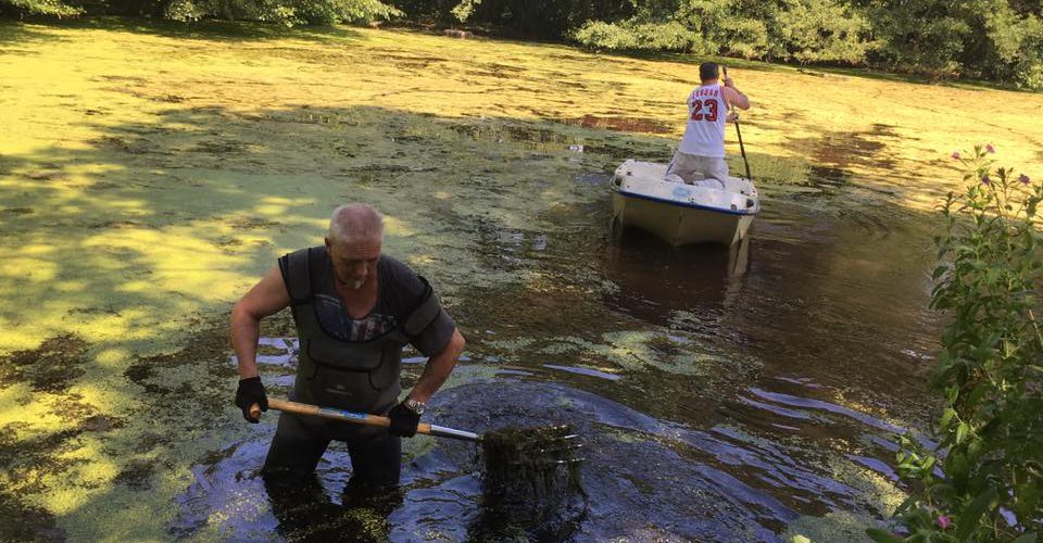 Quälingsteich Algen Reinigung 2016
