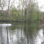 Eine Platzierung recht zentral auf dem Teich soll dabei helfen